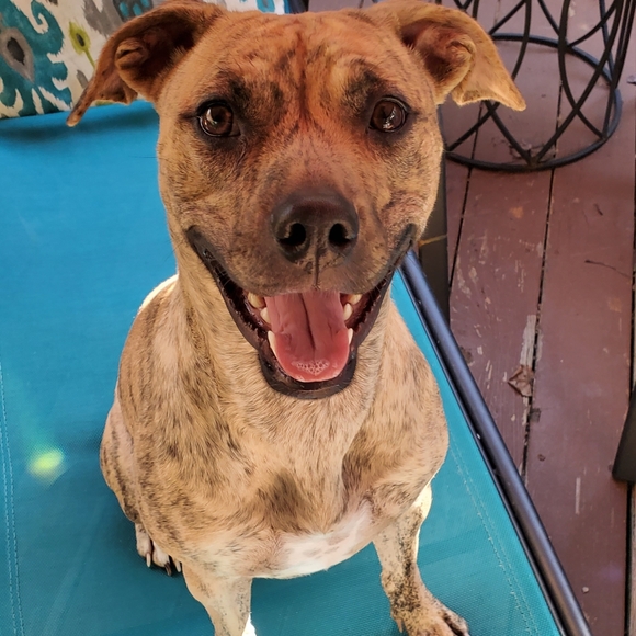 Meet Posher Terri's quality control team - Picture 5 of 5